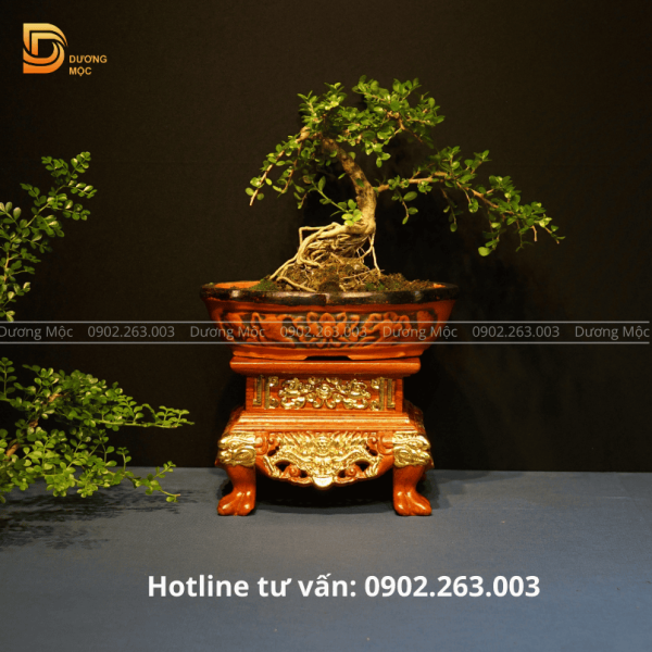 Đôn Vuông Gỗ Hương Chạm Rồng Dát Vàng 20x16 DTK10 - Ảnh 5