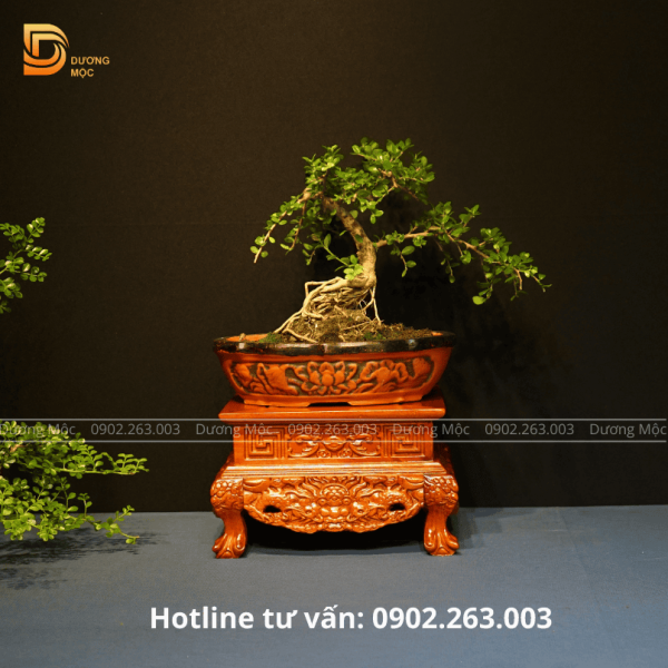 Đôn Vuông Gỗ Hương Chạm Rồng 25x16 DTK11 - Ảnh 7