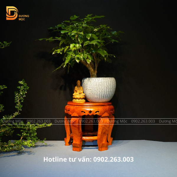 Đôn Tròn Gỗ Hương DG02 - Ảnh 4