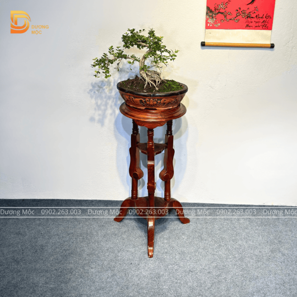 Đôn Kê Cây Cảnh Bonsai Gỗ Hương Cao Cấp DG08 - Ảnh 5