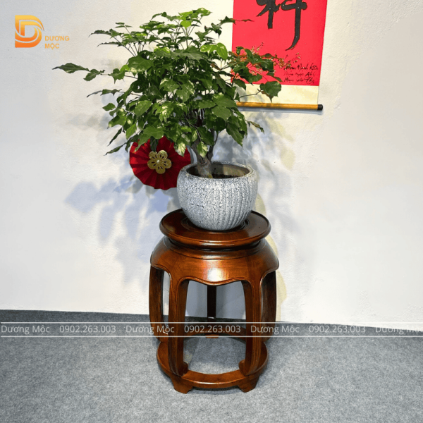 Đôn Tròn Gỗ Hương Đơn Giản Màu Óc Chó DG07 - Ảnh 6