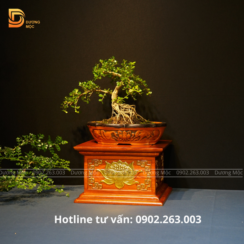 Đôn Vuông Gỗ Hương Chạm Sen Dát Vàng 30x20 DKT21 - Ảnh 6